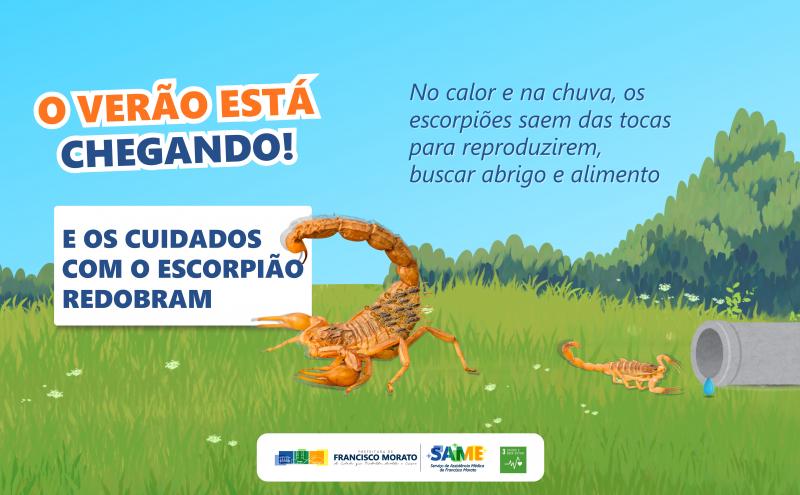 No calor e na chuva, esses danados aparecem com mais frequência.